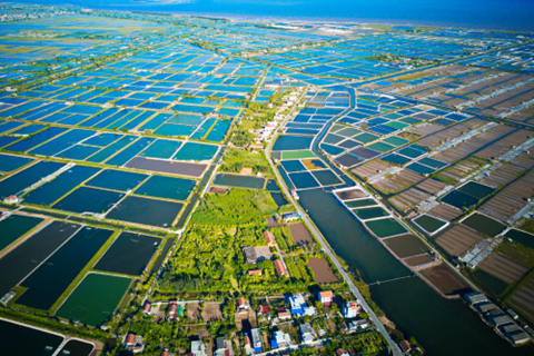 Các thành phố nuôi tôm rộng lớn bên trên nước Việt Nam 
